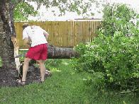 Borrowed A Chainsaw From A Neighbour...